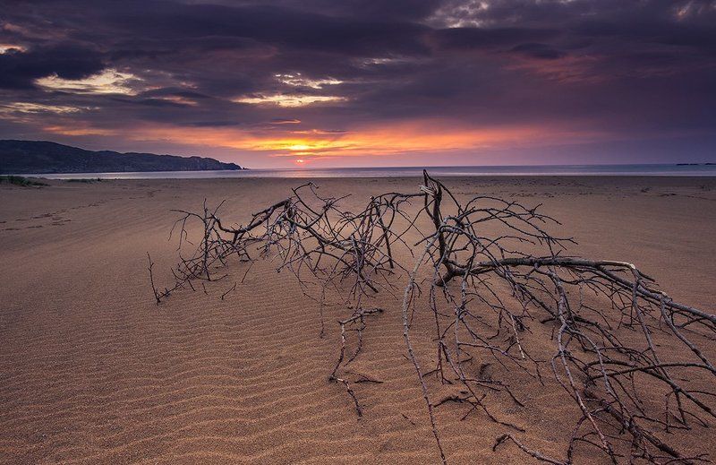 В ожидании прилива фото превью