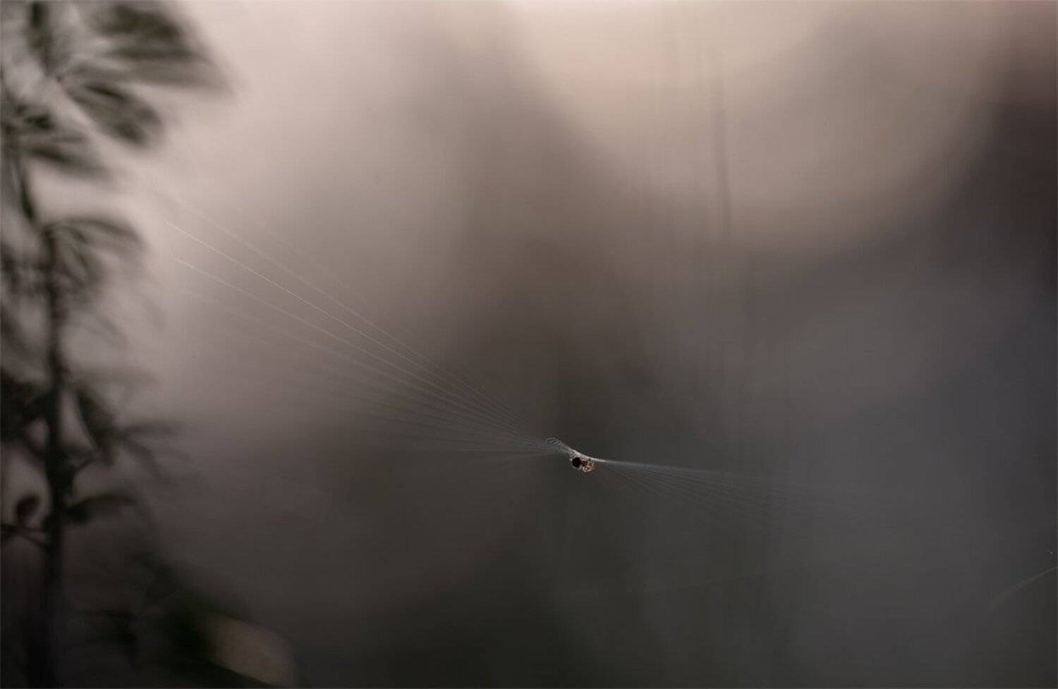 , Геннадий Мещеряков