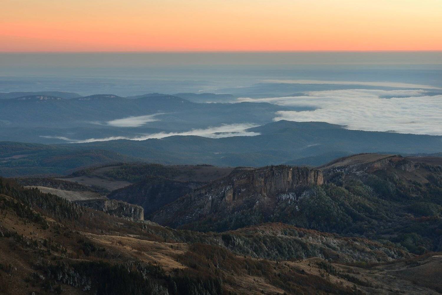 , Максим Евдокимов