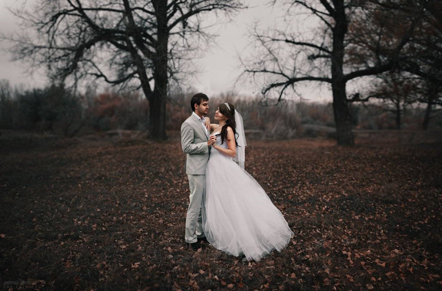 , Дмитрий Журавлев