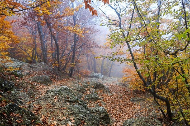 Мое знакомство с Демерджи. часть 2. фото превью
