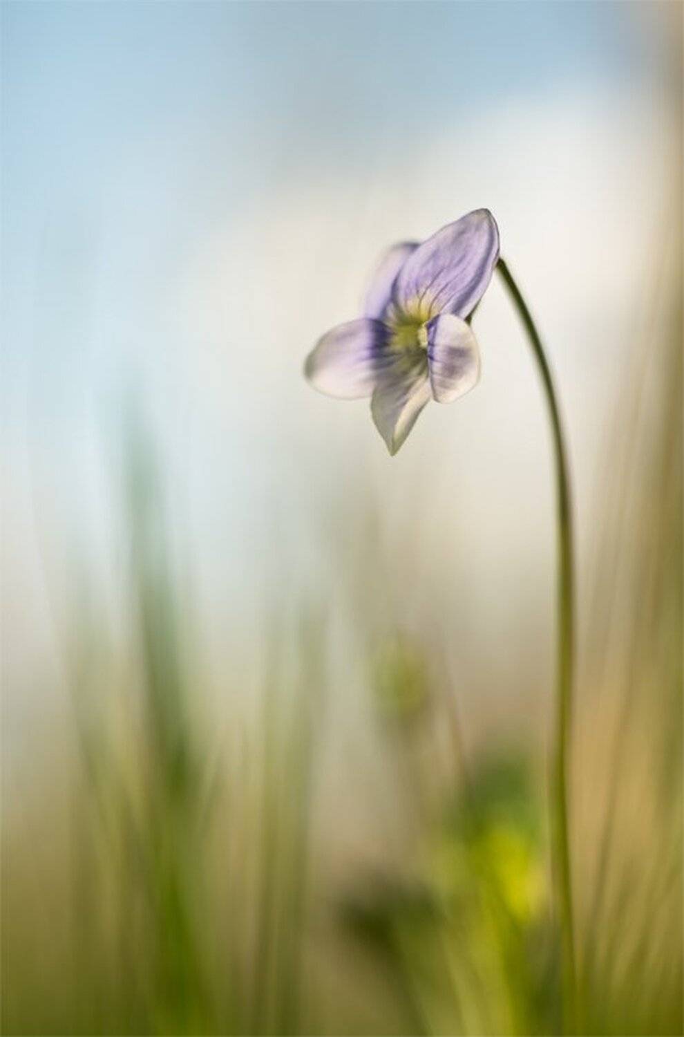 , Геннадий Мещеряков