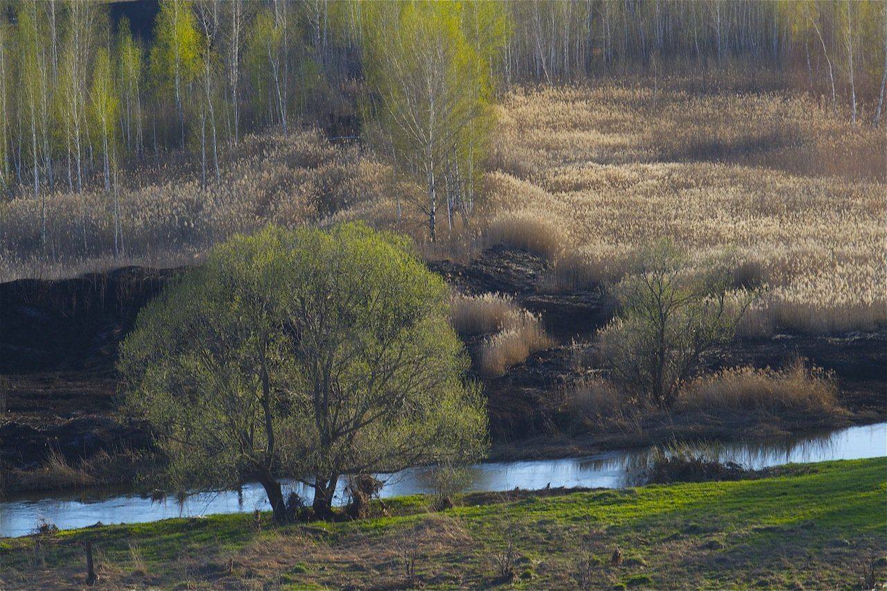 , Ирина Назарова