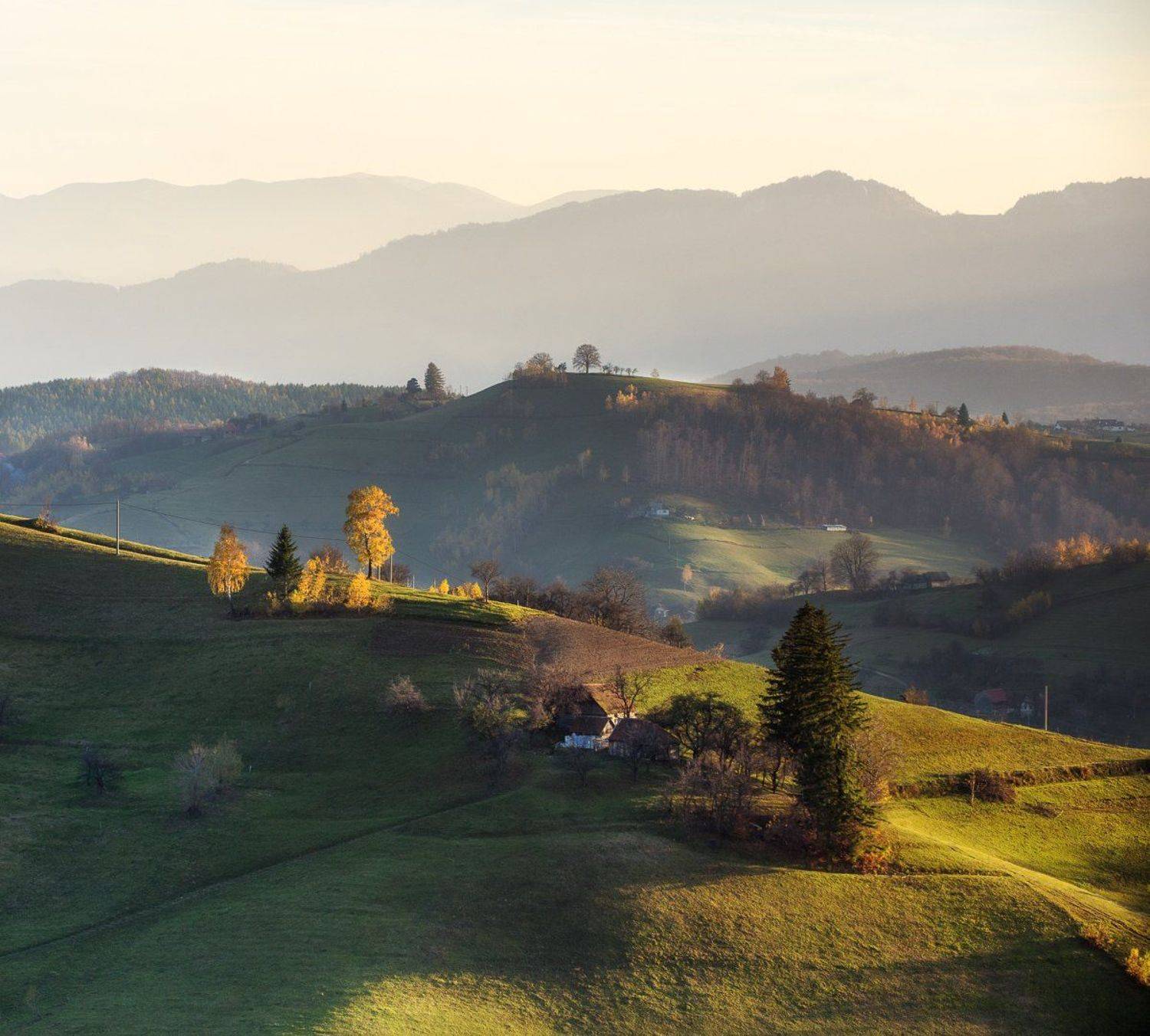 Autumn, Nature, Ioan Chiriac