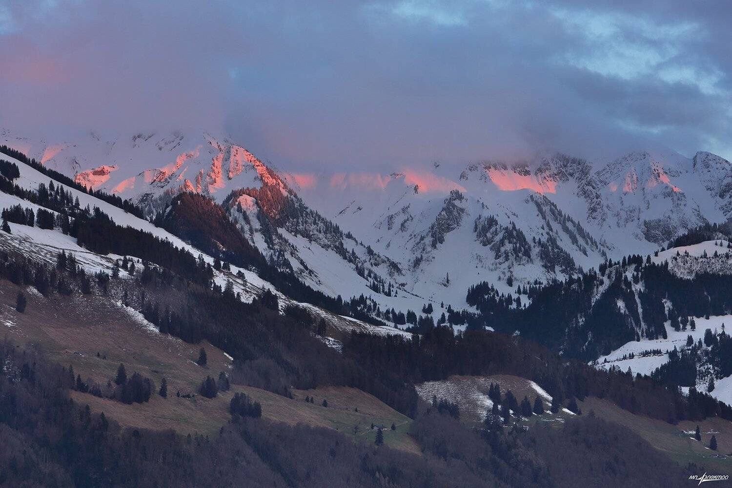 swiss, Матвеев Николай