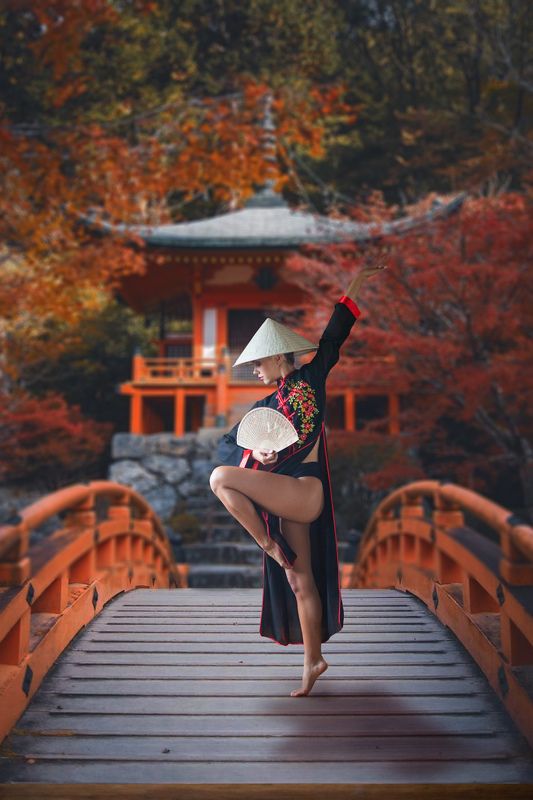 Japan bridge фото превью