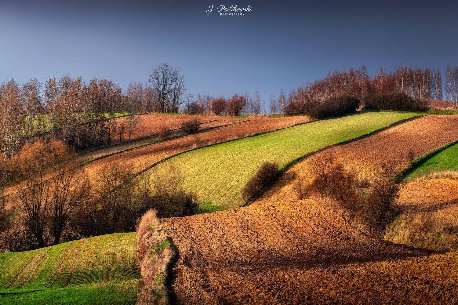 Early spring time. Автор: Jakub Perlikowski , Jakub Perlikowski