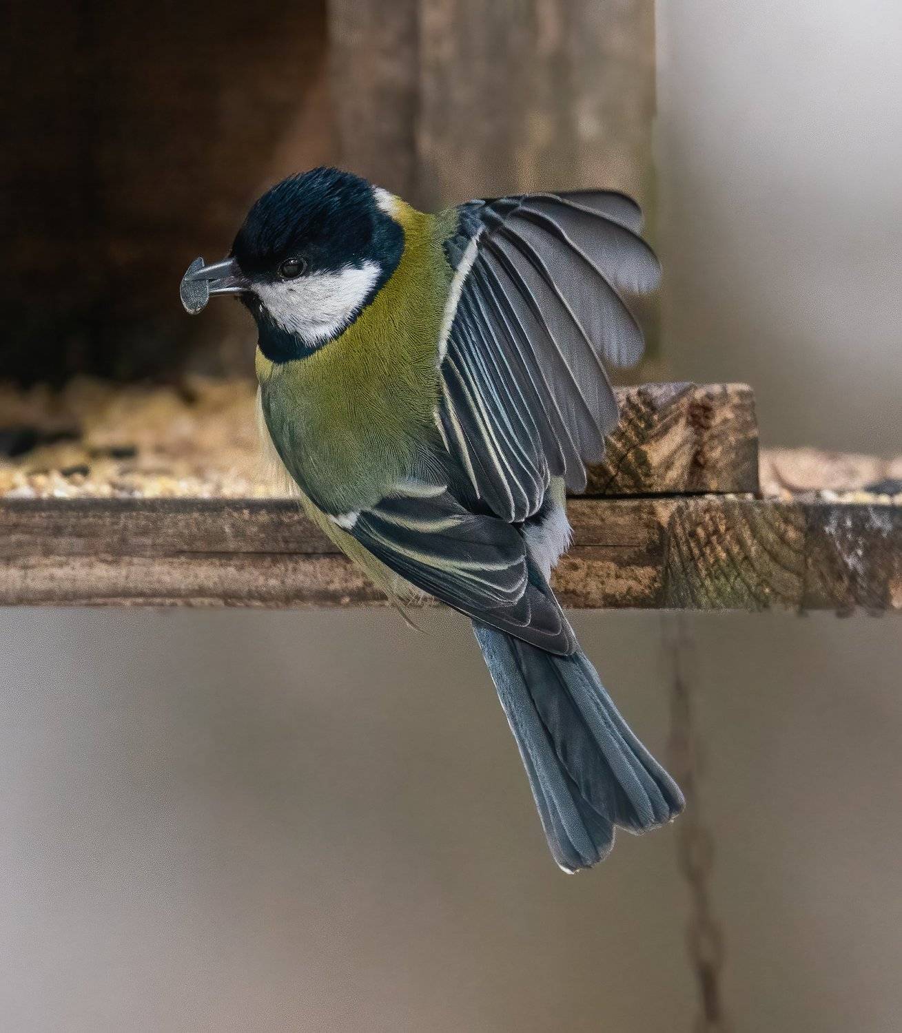 , Константин Дэм