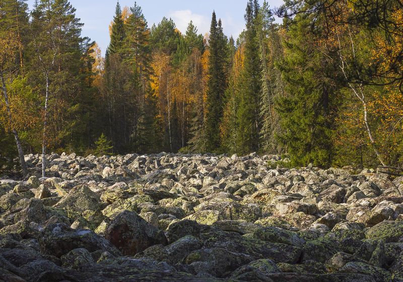 курум, курумник, каменная река, пейзаж, осенний пейзаж, южный урал, камни, лес, лес на камнях Курумник. ( Каменная река) фото превью