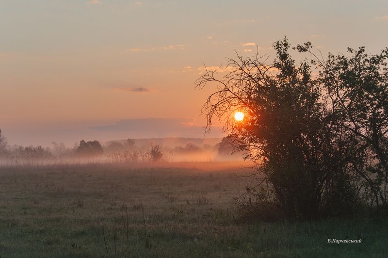 Лето - это маленькая жизнь. А июль - его новая страница ...... фото превью