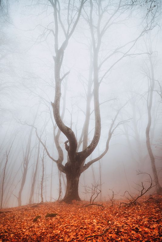 крым *** фото превью