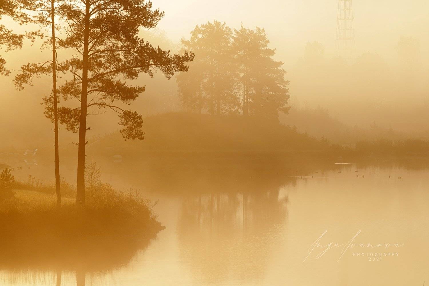 , Инга Иванова