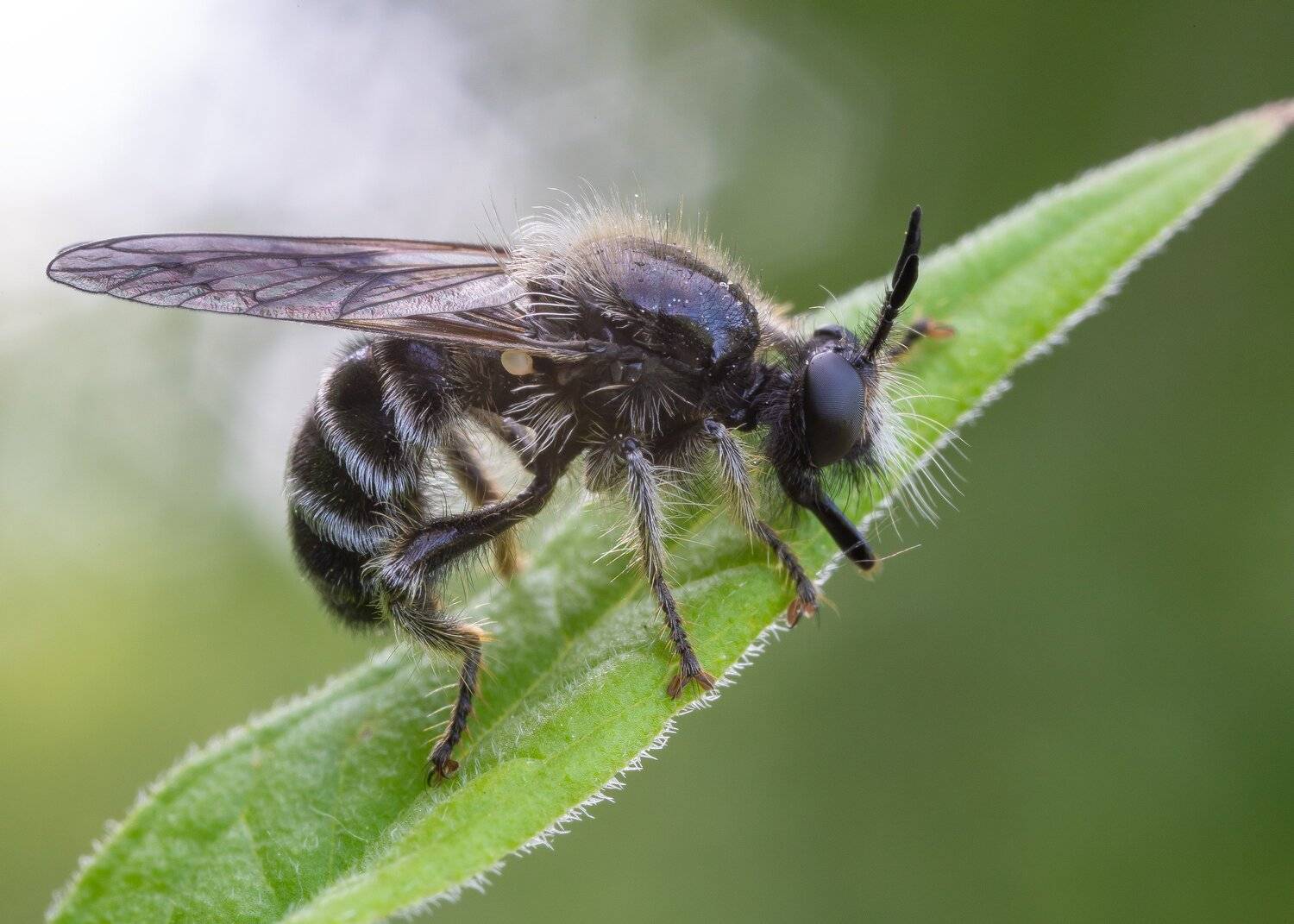 , Кузнецов Дмитрий