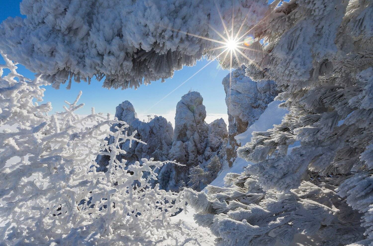 ай-петри, зубцы ай-петри, крым, ялта, снег, зима, черное море, зима в ялте, крымские горы, крымские пейзажи, Serge Titov