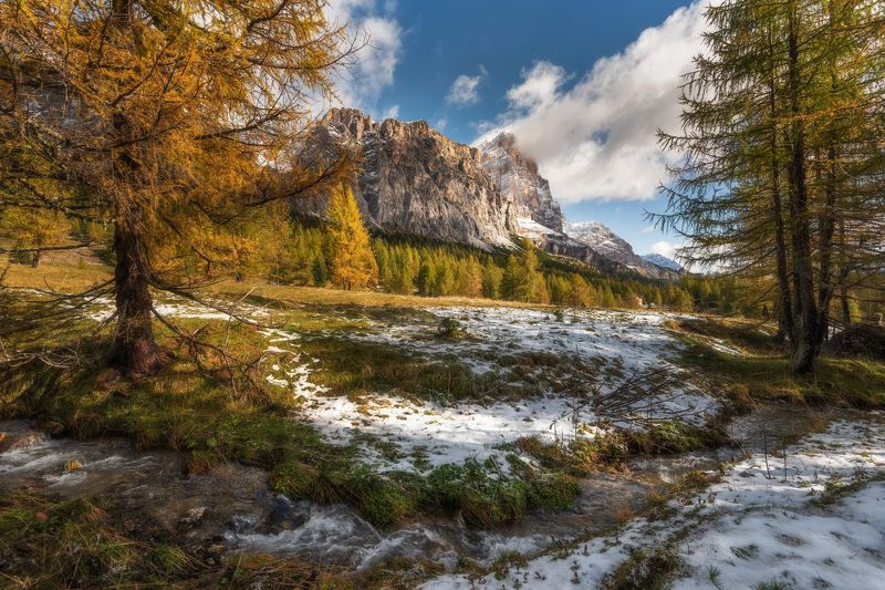 GOLDEN AUTUMN фото превью