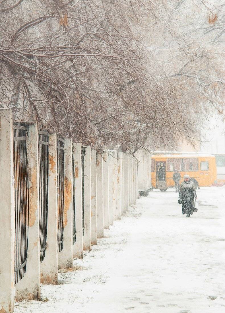 , Евгений Зинов