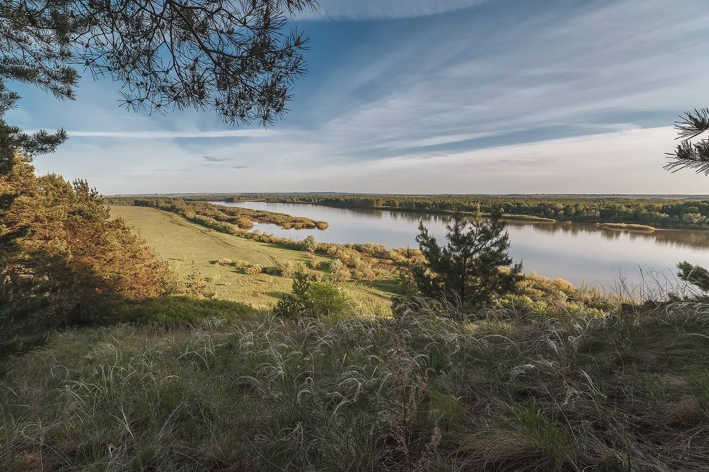 , Алексей Никитин