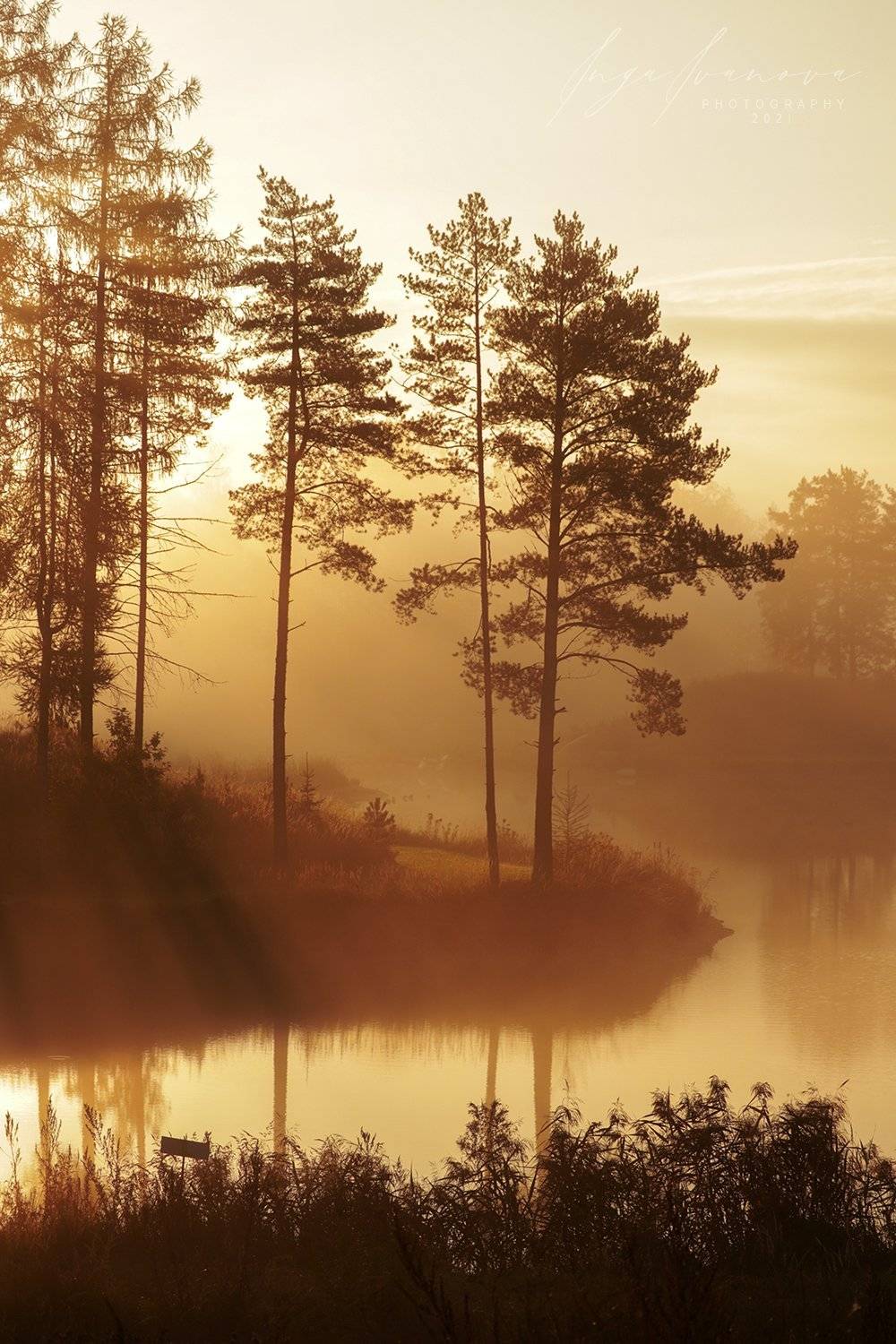 , Инга Иванова