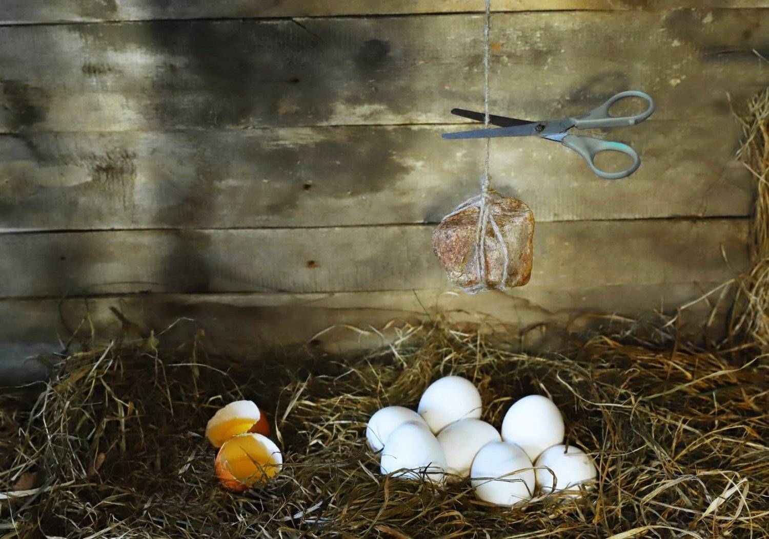 , Валерий Козуб