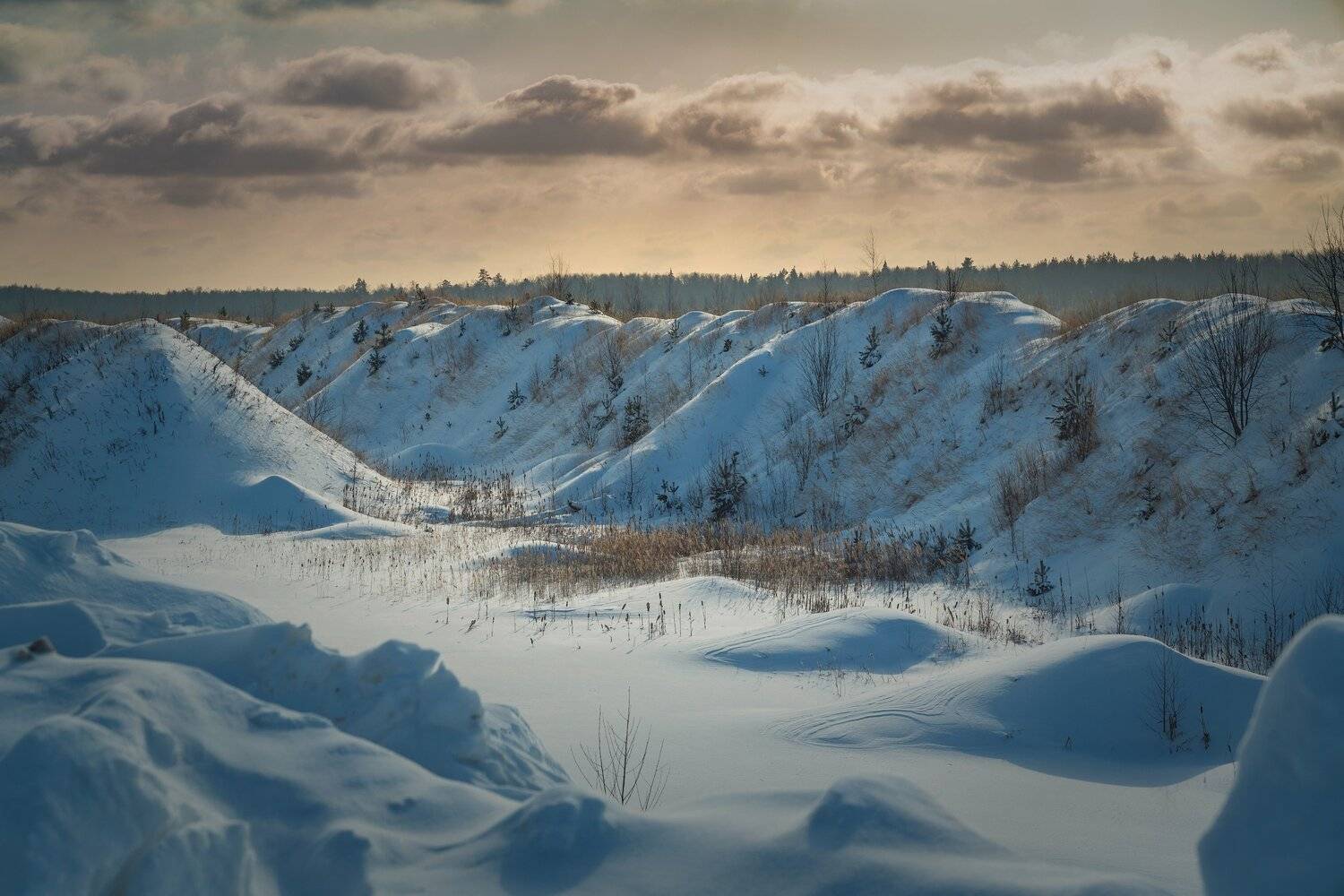 , Константин Дэм