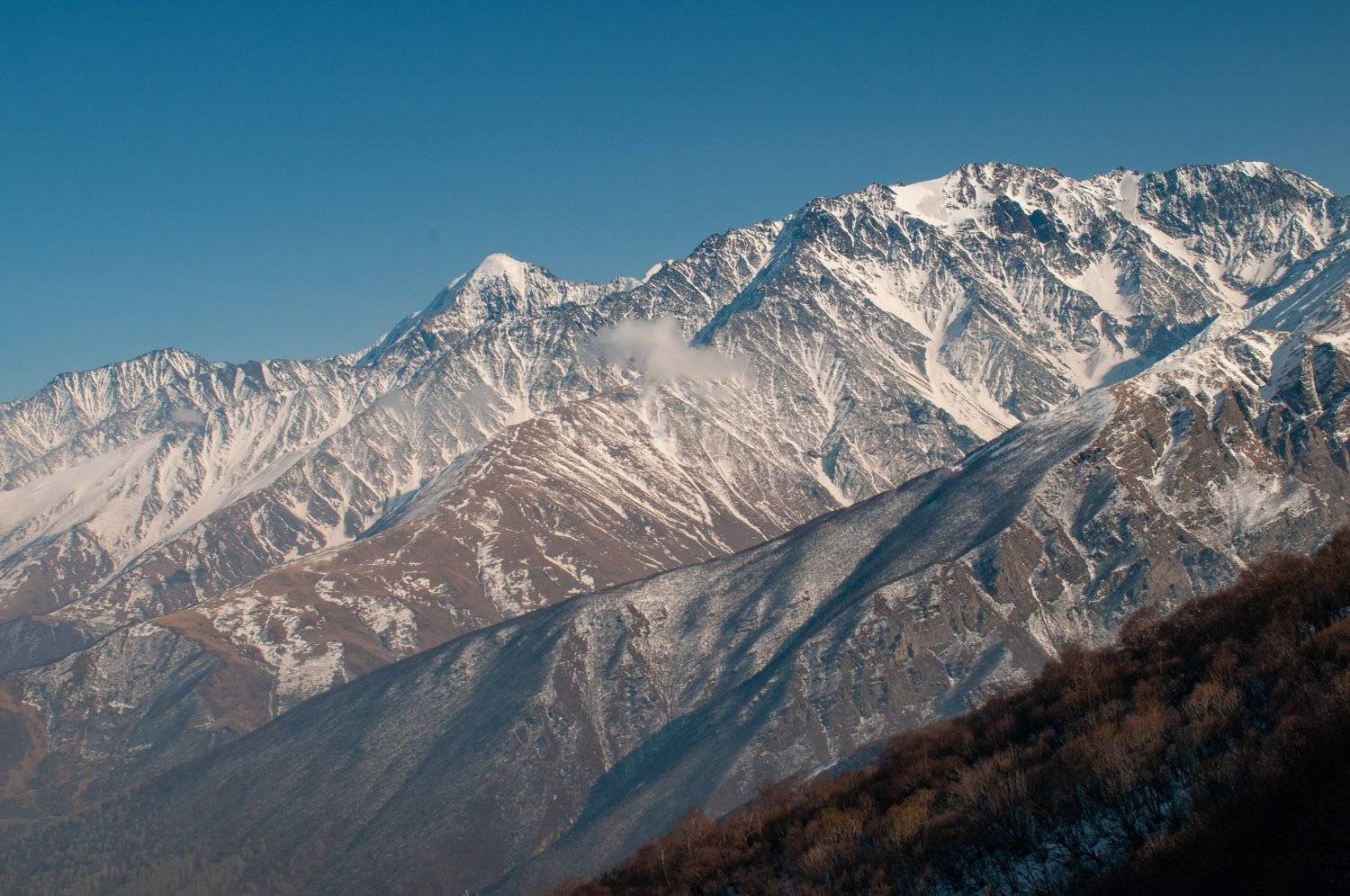 , Марина Кондратова