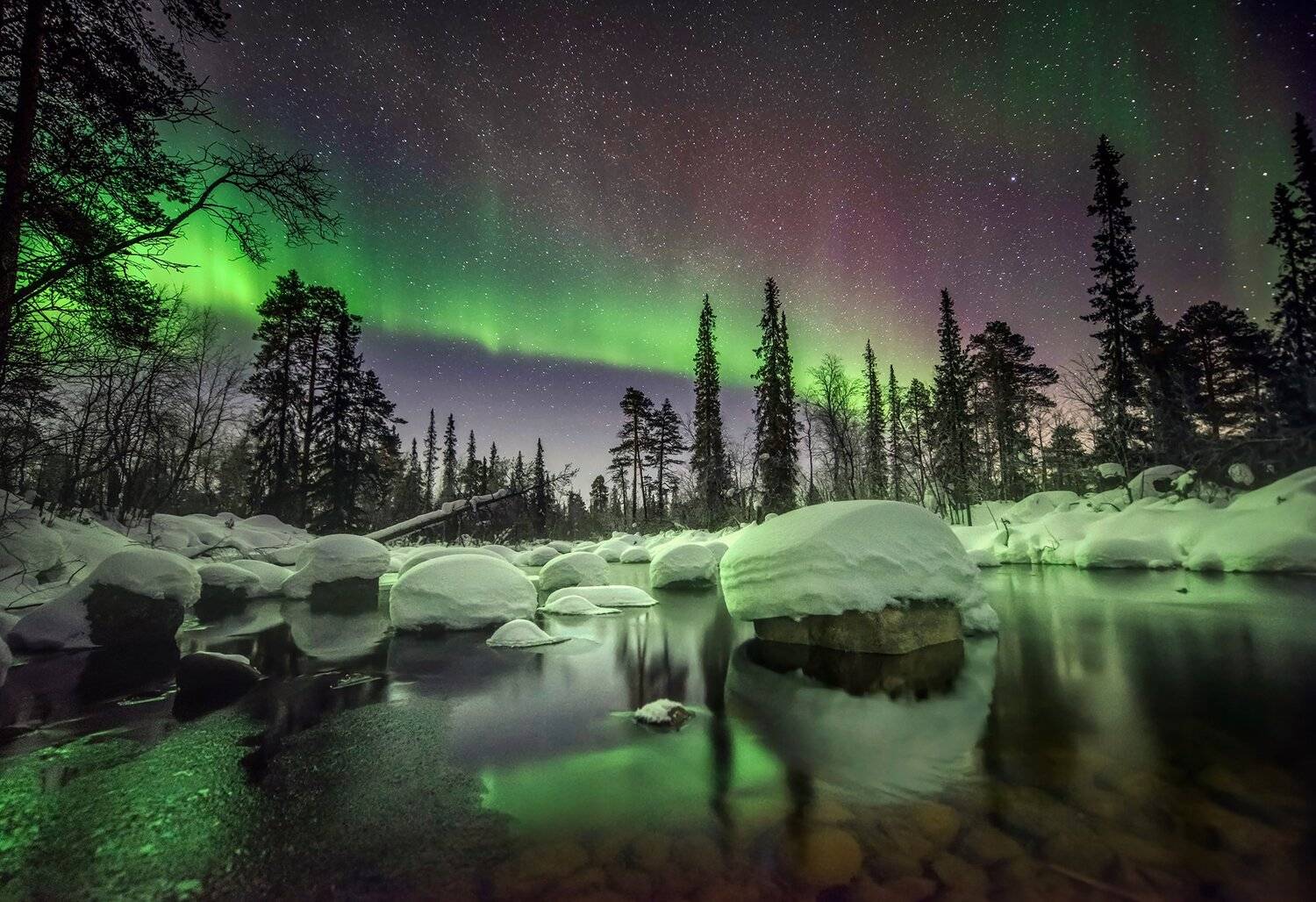 , Елена Ермолина