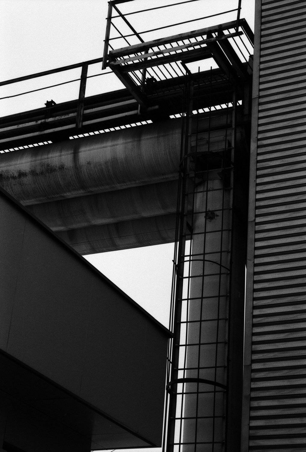 , Алексей Егоров