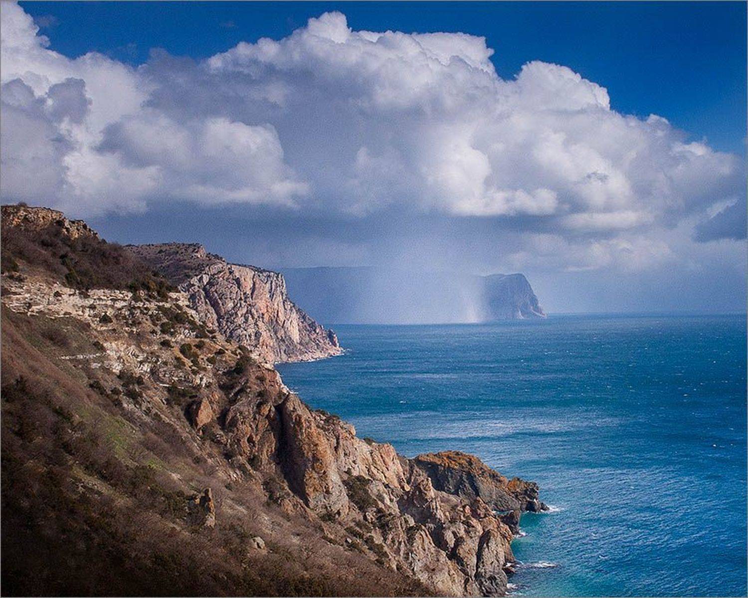 , Алексей Пучков