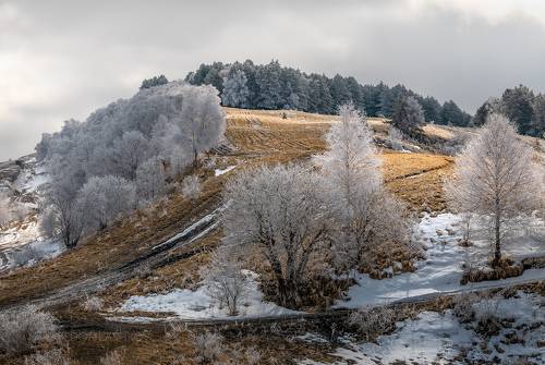 Март в Кисловодском парке