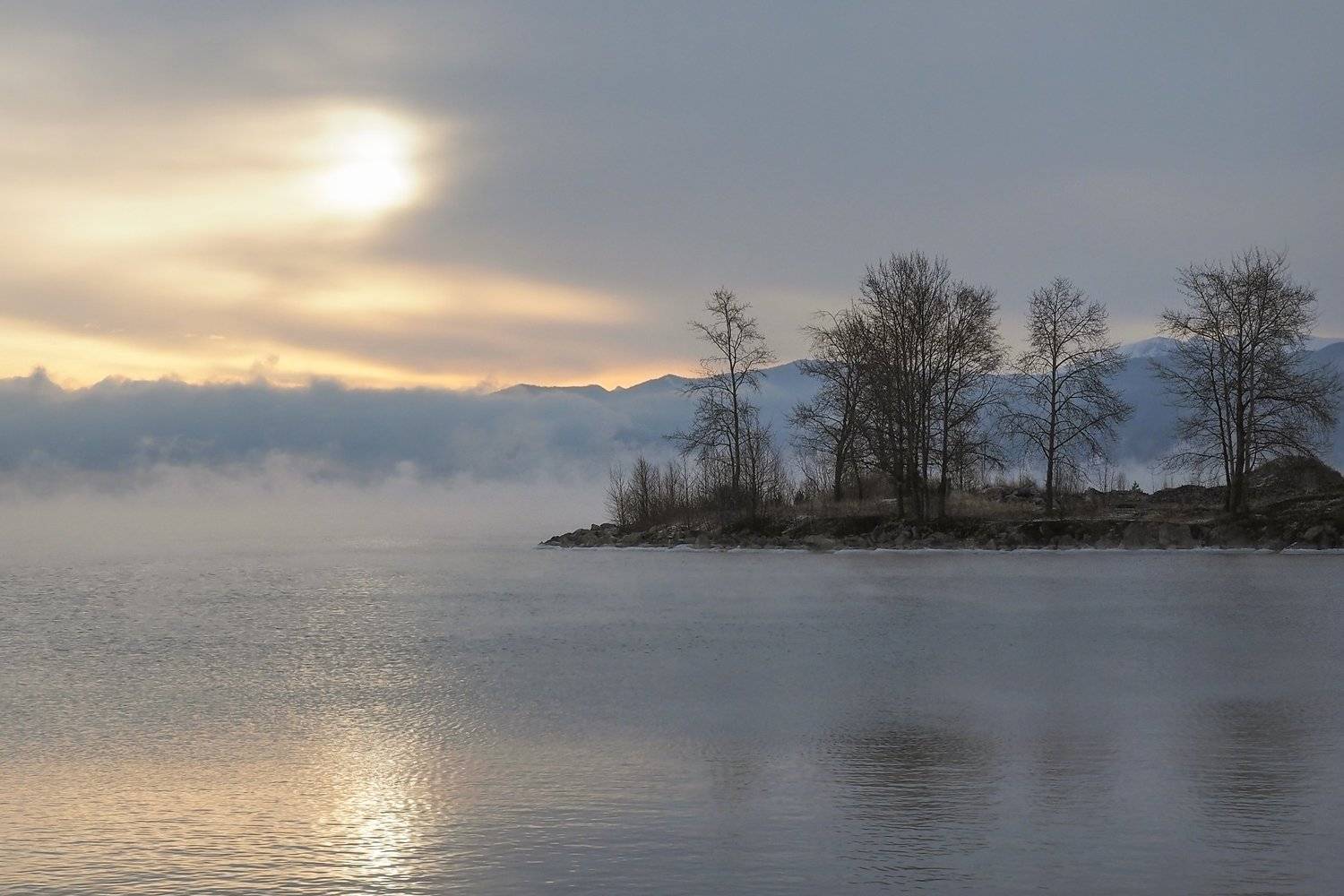 , Александр Попов