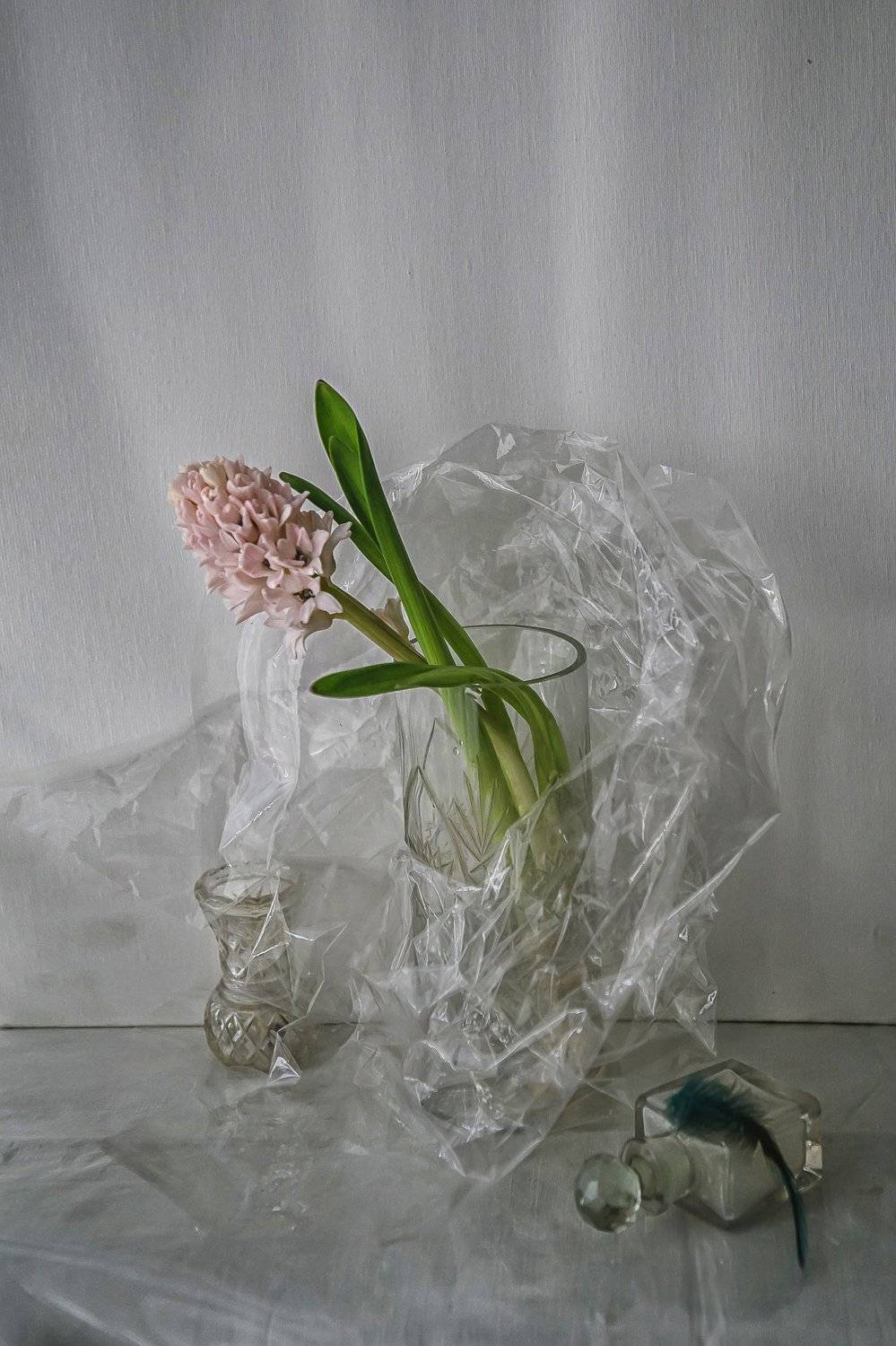 натюрморт, стекло, цветы, гиацинты, Анна Петина