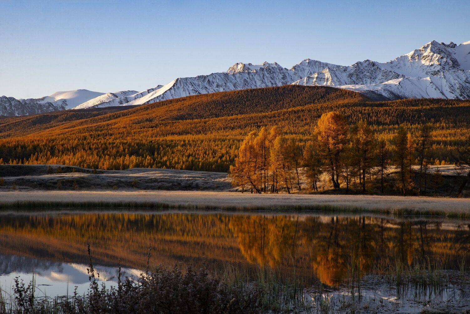 алтай, Ольга Лукахина