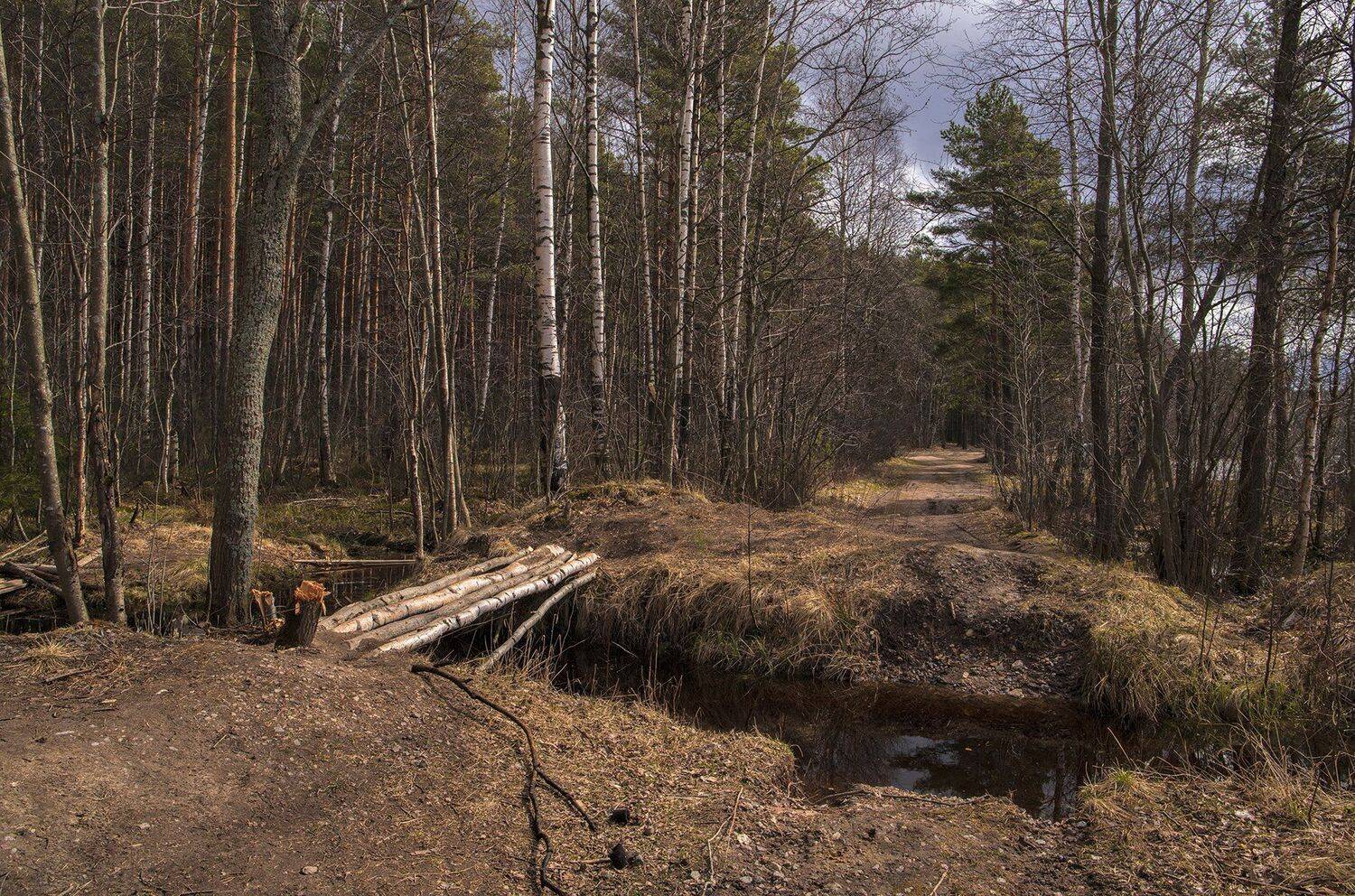ленинградская область,токсово,весна, alexOmRam