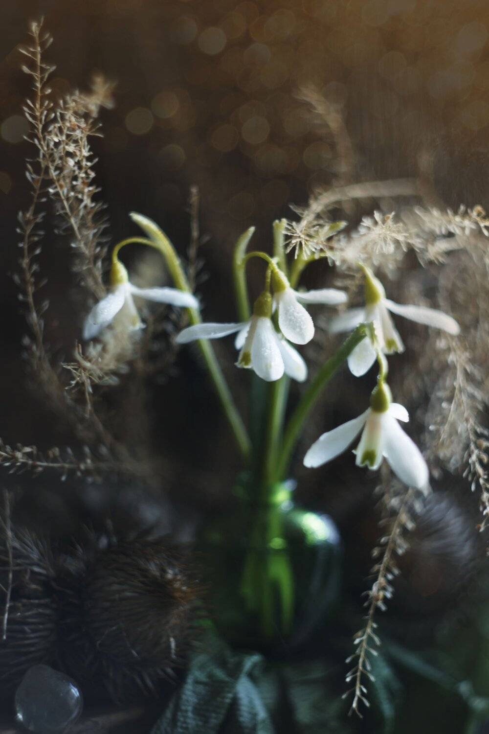 подснежники, весна, Лионелла Зимина