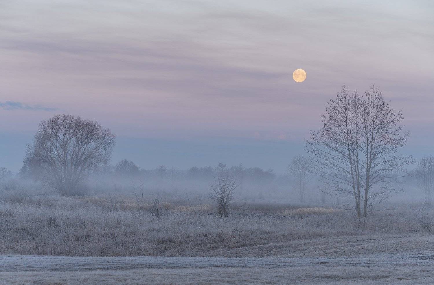 , Дмитрий Новоселов