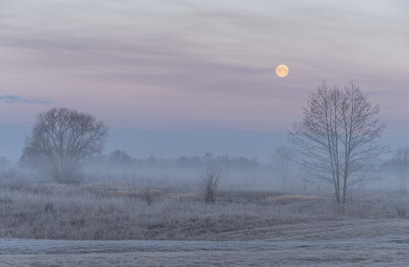 Мартовским утром фото превью