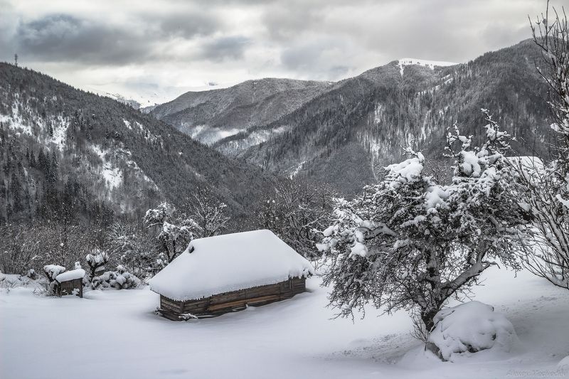гори, закарпаття, зима, карпати, свидовець, смереки, сутінки, лопухів, лопухов, усть чорна, карпаты, хатки, село, долина Верхние хаты Лопухова фото превью
