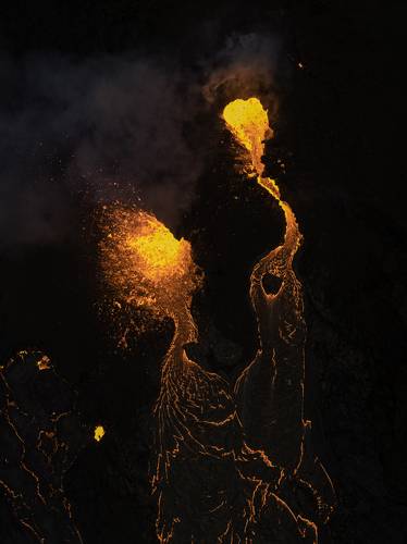 мужик,цветок...... и грустная собака.