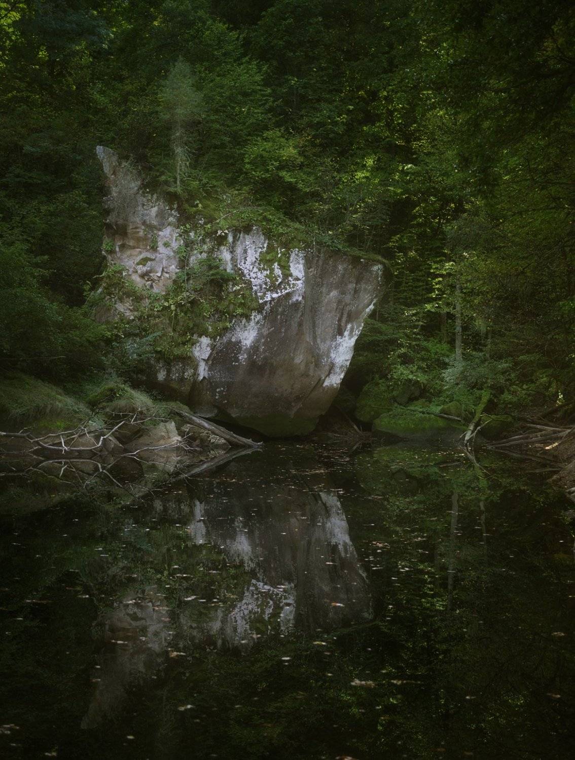 , Кирилл Киселев