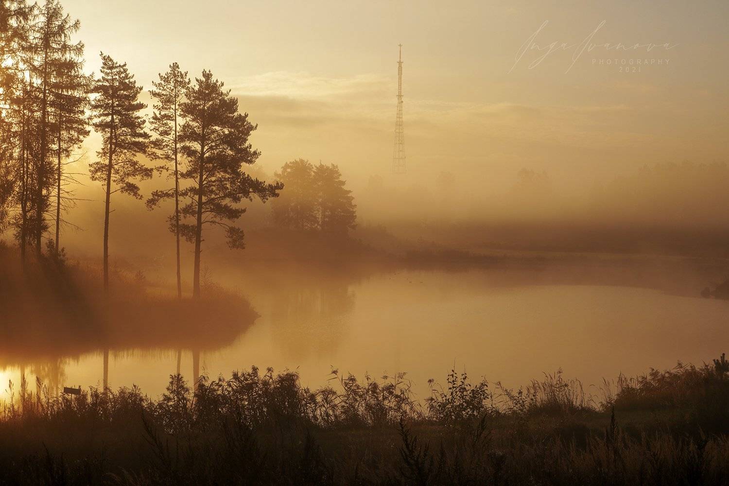 , Инга Иванова