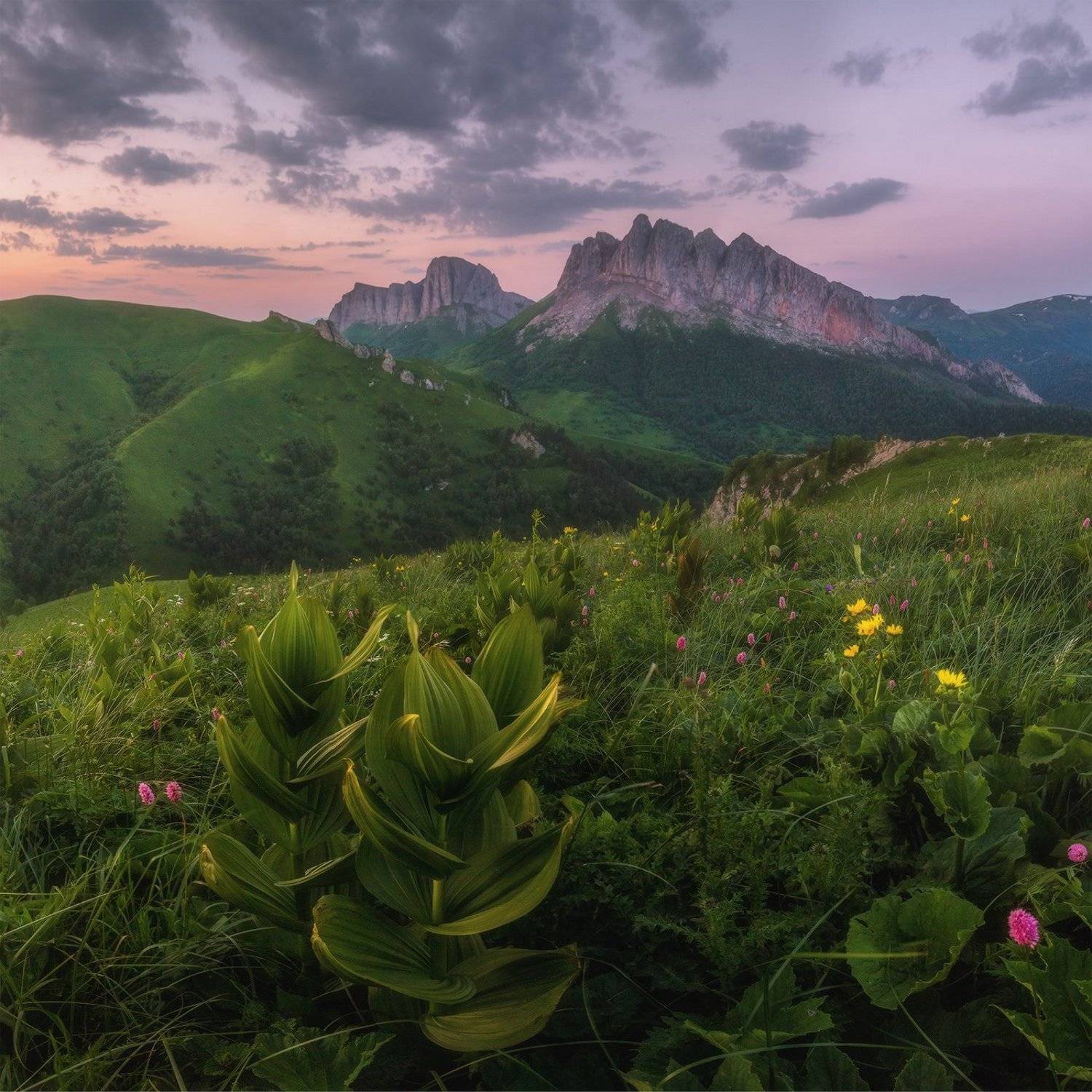 западный кавказ, ачешбок, рассвет, июнь, Николай Мысливцев
