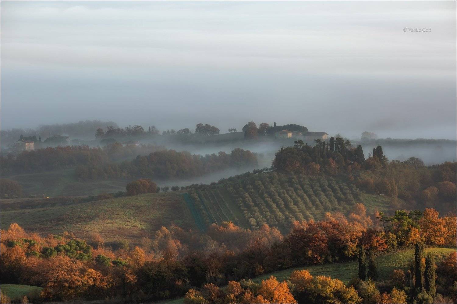 italy,туман ,italia,утро,италия,тоскана,кипарис,toscana,осень,tuscany,cipressi,belvedere,morning,colors,fog, Василий Гори