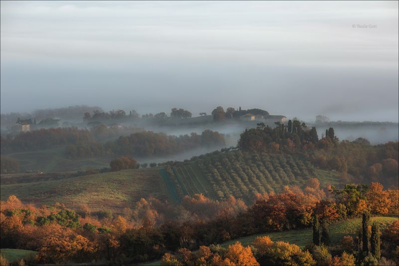 italy,туман ,italia,утро,италия,тоскана,кипарис,toscana,осень,tuscany,cipressi,belvedere,morning,colors,fog Утро Тосканы фото превью