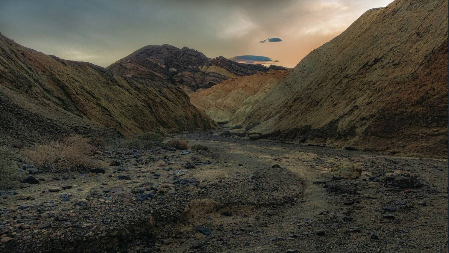 , Евгений Шварцман