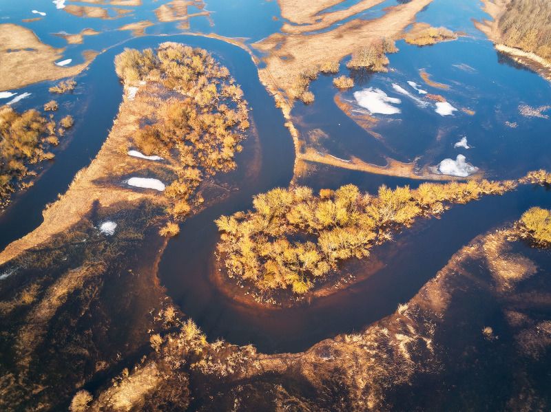 беларусь, весна, март, неман, разлив, река, утро Разлив на Немане фото превью