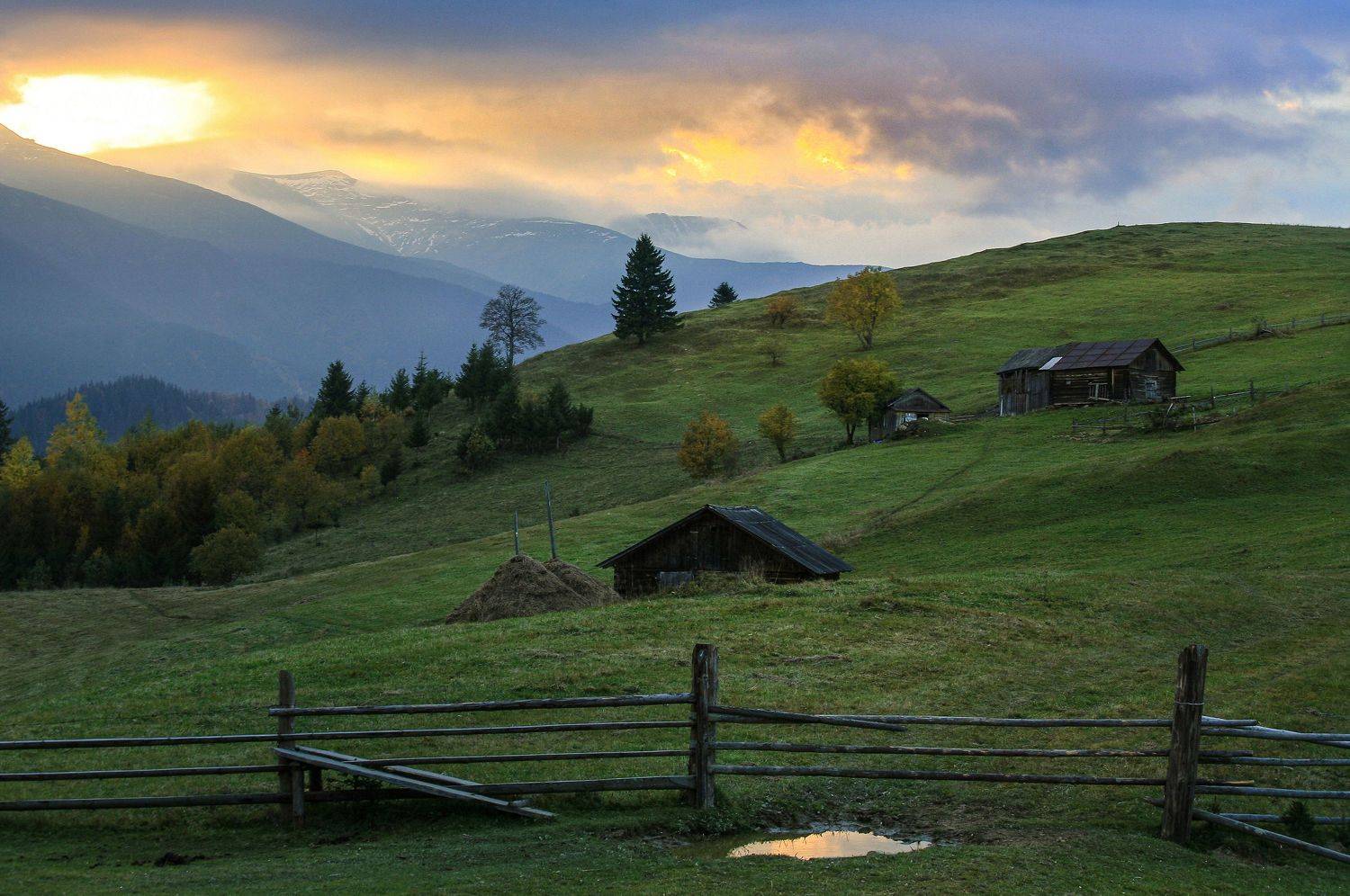 , Милокост Алексей