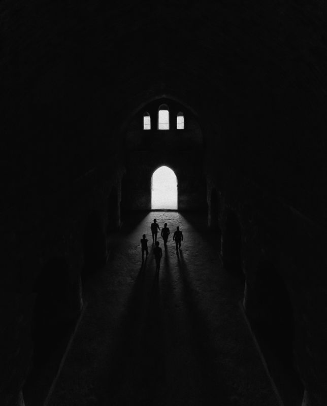 nikon  line light фото превью