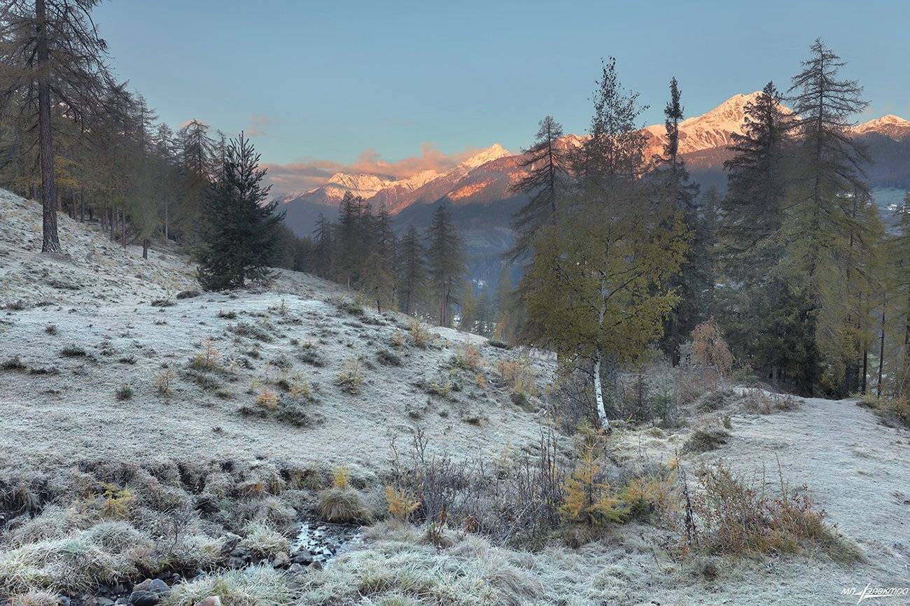 swiss, Матвеев Николай