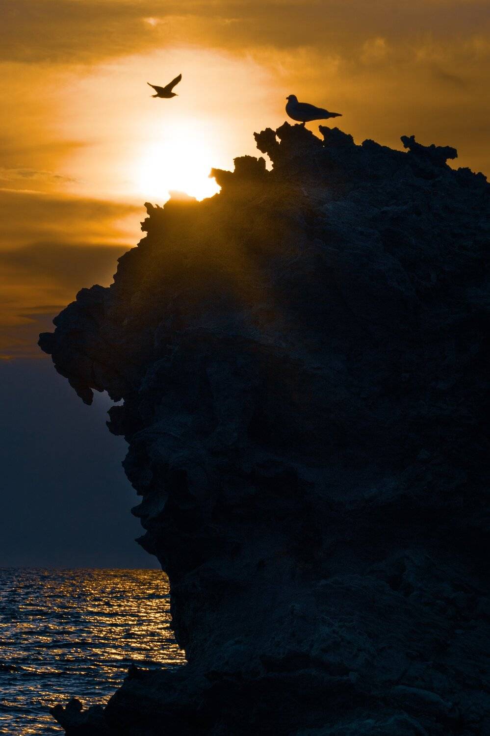 , Андрей Кривцов