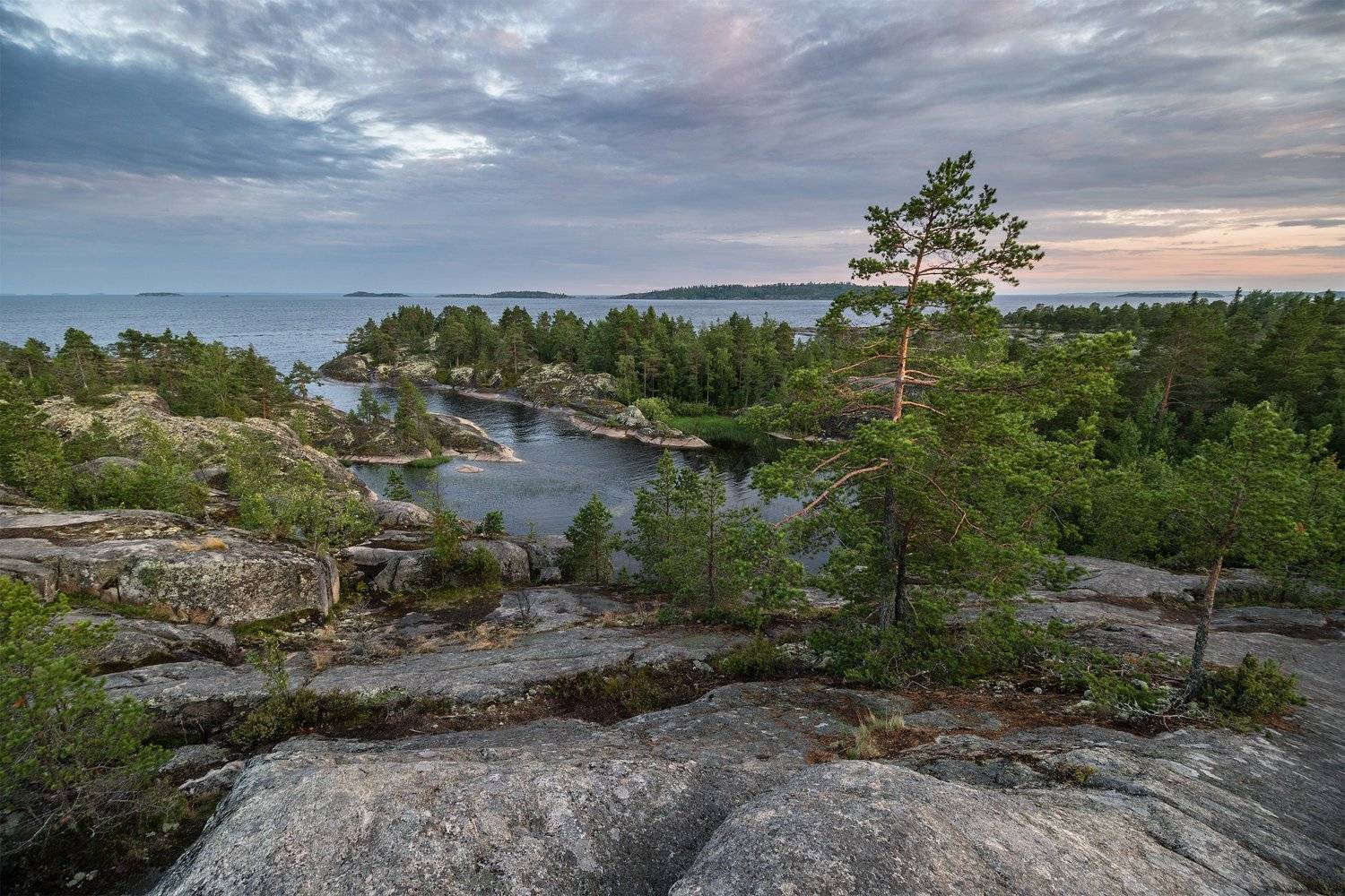 Ладога, озеро, лес, сосна, вечер, закат, сумерки, путешествие, пейзаж, Карелия, lake, forest, pine, evening, sunset, twilight, travel, landscape, Сергей Серушкин